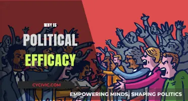 Understanding Political Efficacy: Why Your Voice Matters in Democracy