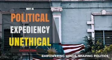 Political Expediency: A Moral Compromise Undermining Ethical Governance