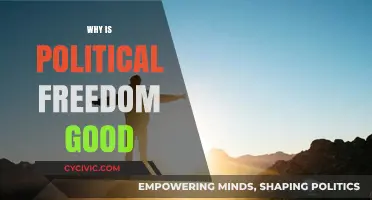 Why Political Freedom Fosters Prosperity, Equality, and Social Progress