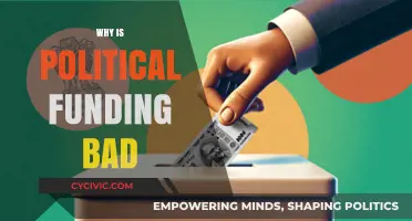 The Dark Side of Political Funding: Corruption, Influence, and Power