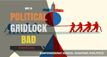 Political Gridlock's Harmful Impact: Stalling Progress and Dividing Nations