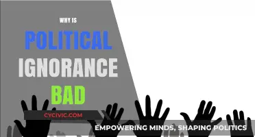 Political Ignorance Undermines Democracy, Fuels Misinformation, and Divides Societies