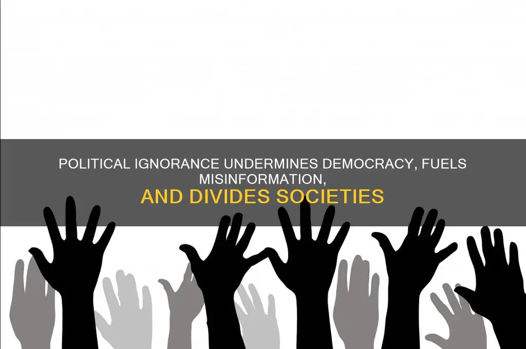 why is political ignorance bad