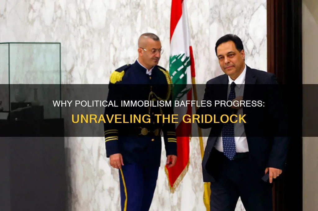 why is political immobilism baf