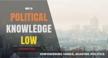 Why Citizens Lack Political Knowledge: Causes and Consequences Explored