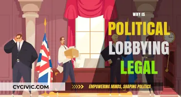 Why Political Lobbying Remains Legal: Unpacking Its Role in Democracy