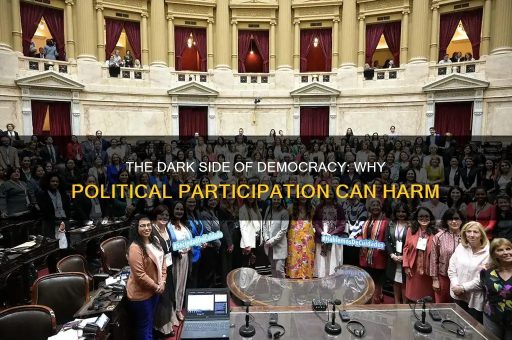 why is political participation bad