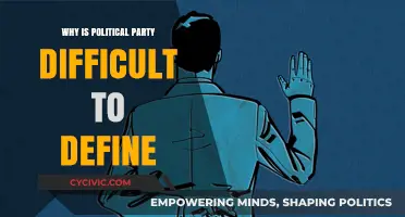 Defining Political Parties: Navigating Ambiguity in Ideologies and Structures