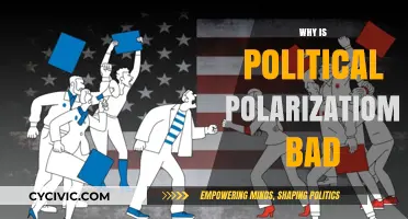 Polarization's Peril: How Divisive Politics Undermines Democracy and Society
