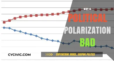 Political Polarization's Harmful Impact: Dividing Societies and Hindering Progress
