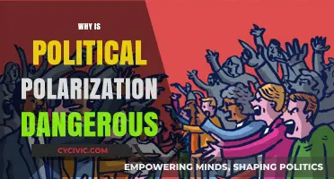 Polarization's Peril: How Divisive Politics Threatens Democracy and Society