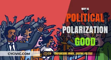 Political Polarization: Uniting Diverse Voices for Stronger Democracy