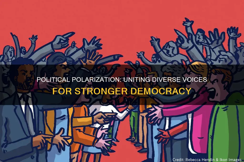 why is political polarization good