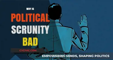 The Harmful Effects of Excessive Political Scrutiny on Society