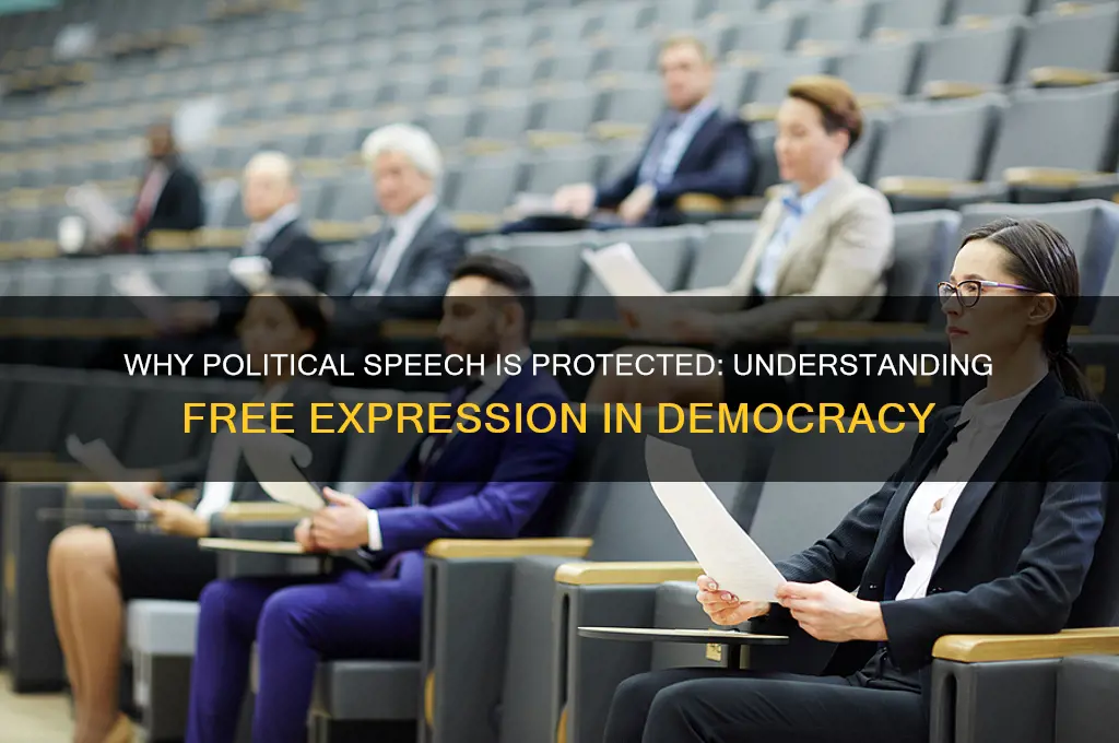 why is political speech protected