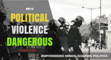 The Devastating Impact of Political Violence on Society and Stability