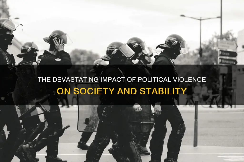 why is political violence dangerous
