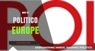 Why Politico Europe Matters: Insights into EU Politics and Policy