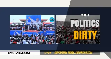The Dark Side of Democracy: Why Politics Often Turns Dirty