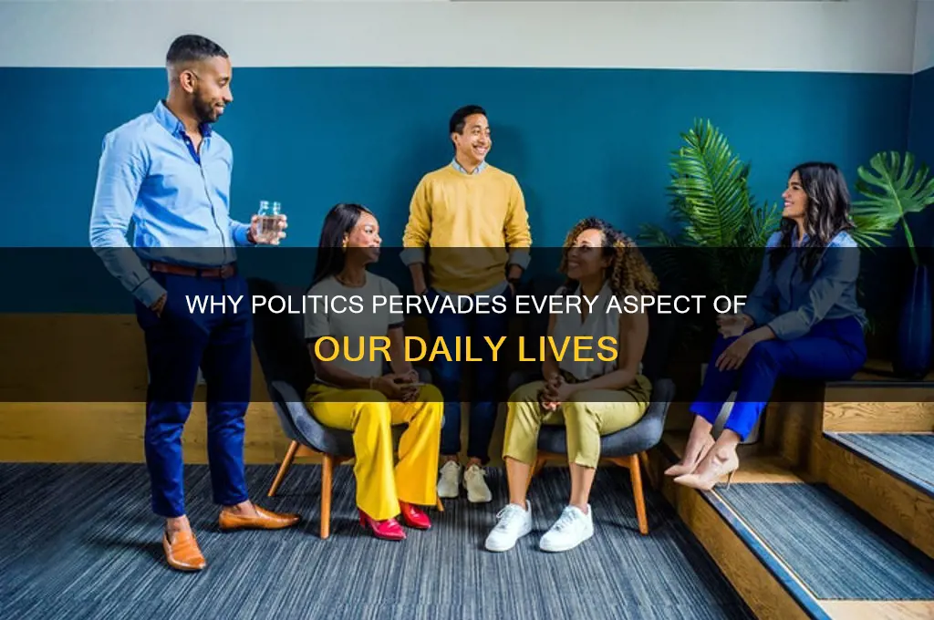 why is politics everywhere