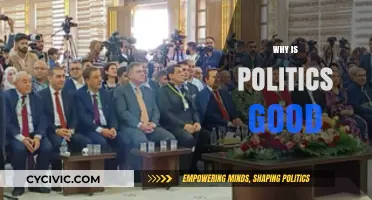 Why Politics Matters: Uniting Communities, Driving Progress, and Shaping Futures