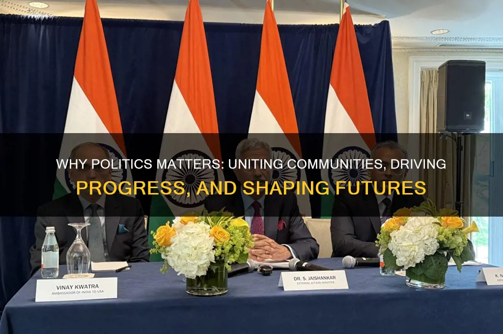 why is politics good