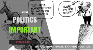 Why Politics Matters: Shaping Societies, Policies, and Our Daily Lives