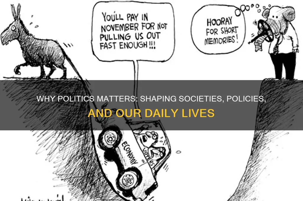 why is politics important