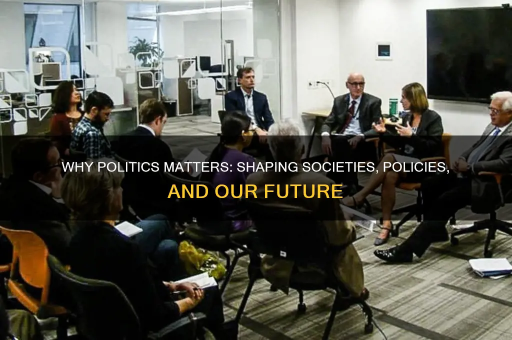 why is politics importnt