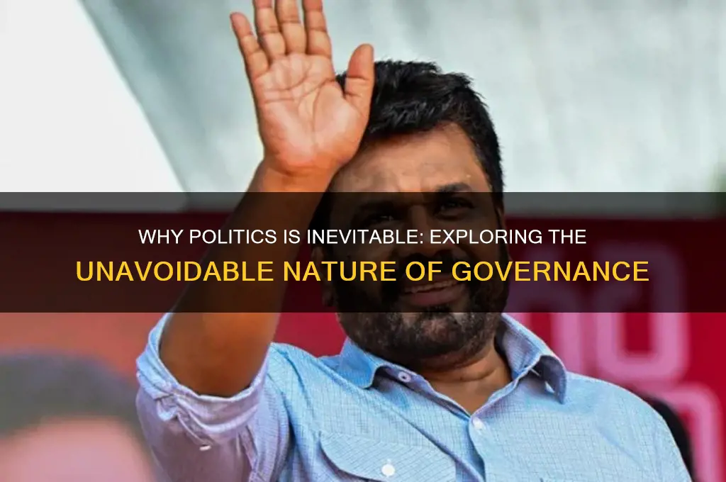 why is politics inevitable