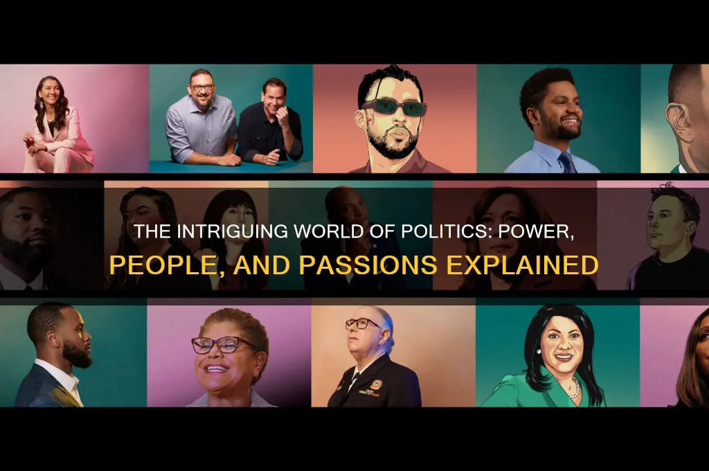 why is politics interesting