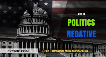 The Dark Side of Politics: Unraveling the Roots of Negativity