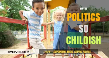 Why Politics Often Resembles a Playground: The Childish Behavior Explained