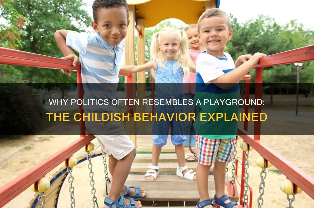 why is politics so childish