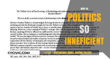 Why Politics Fails: Unraveling the Roots of Inefficiency