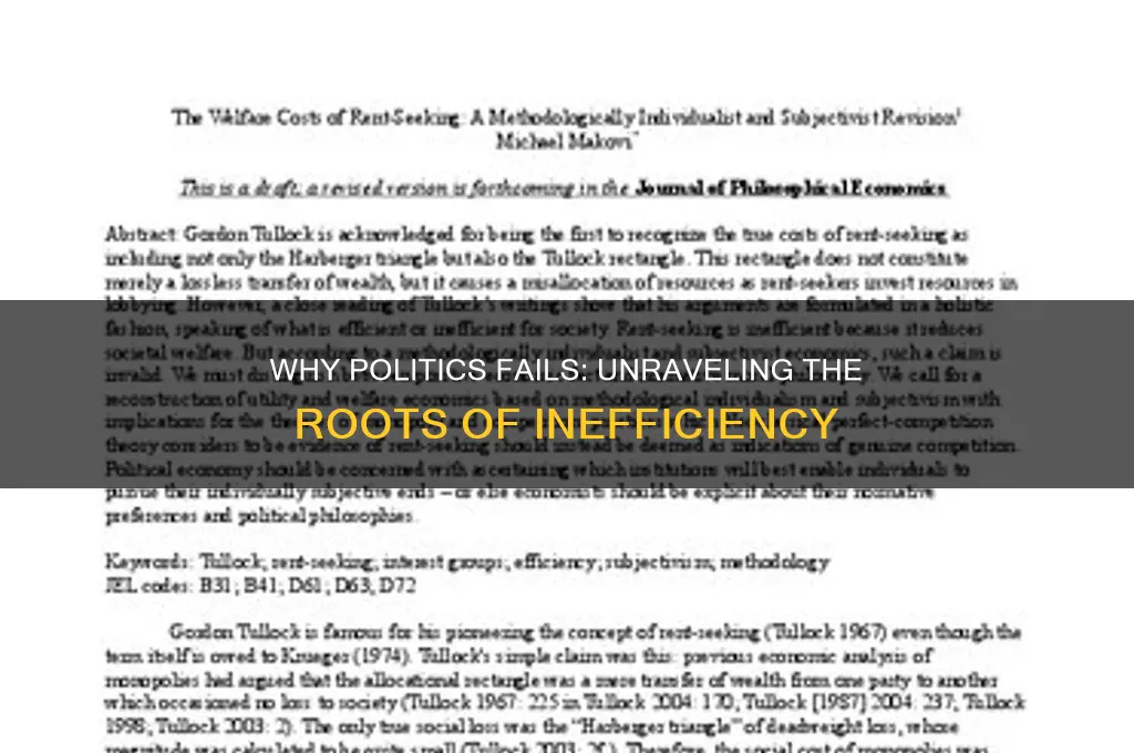 why is politics so inneficient