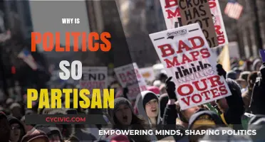 Why Politics Has Become a Battleground of Extreme Partisanship