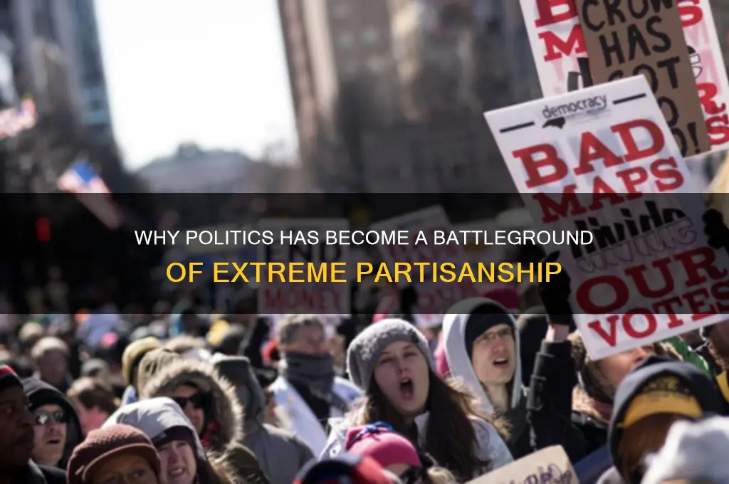 why is politics so partisan