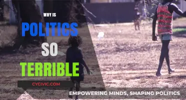 Why Politics Feels Broken: Unraveling the Chaos and Division