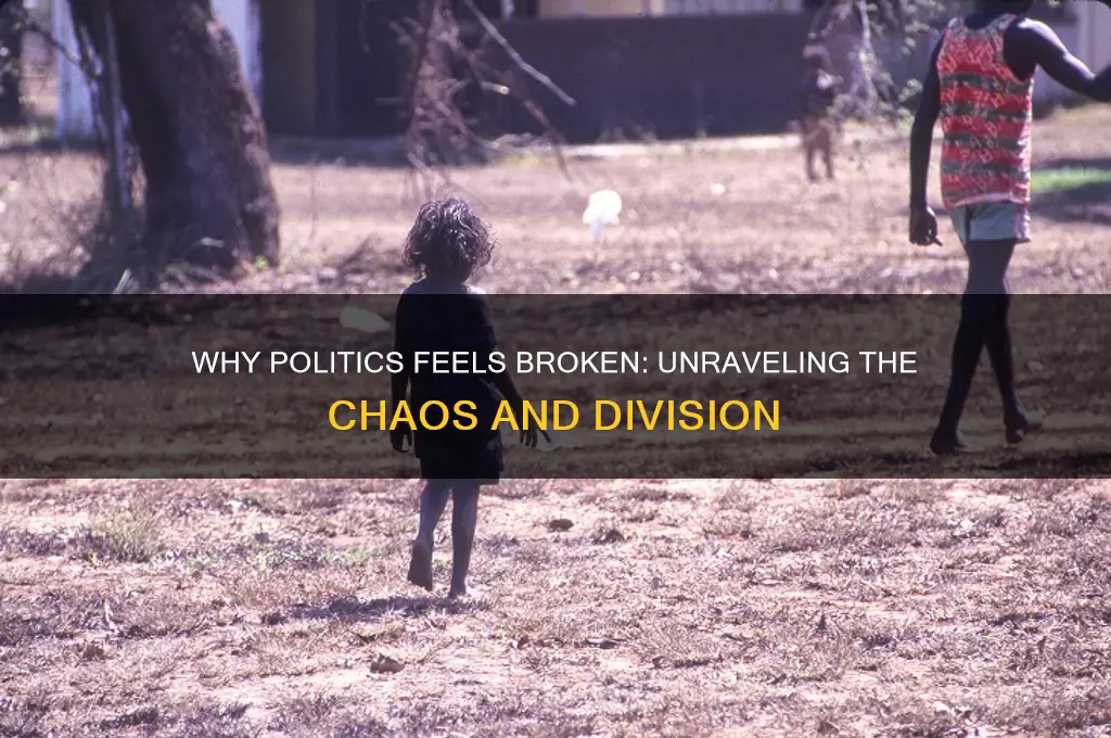 why is politics so terrible