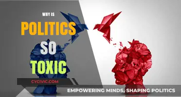 The Roots of Political Toxicity: Causes, Consequences, and Solutions