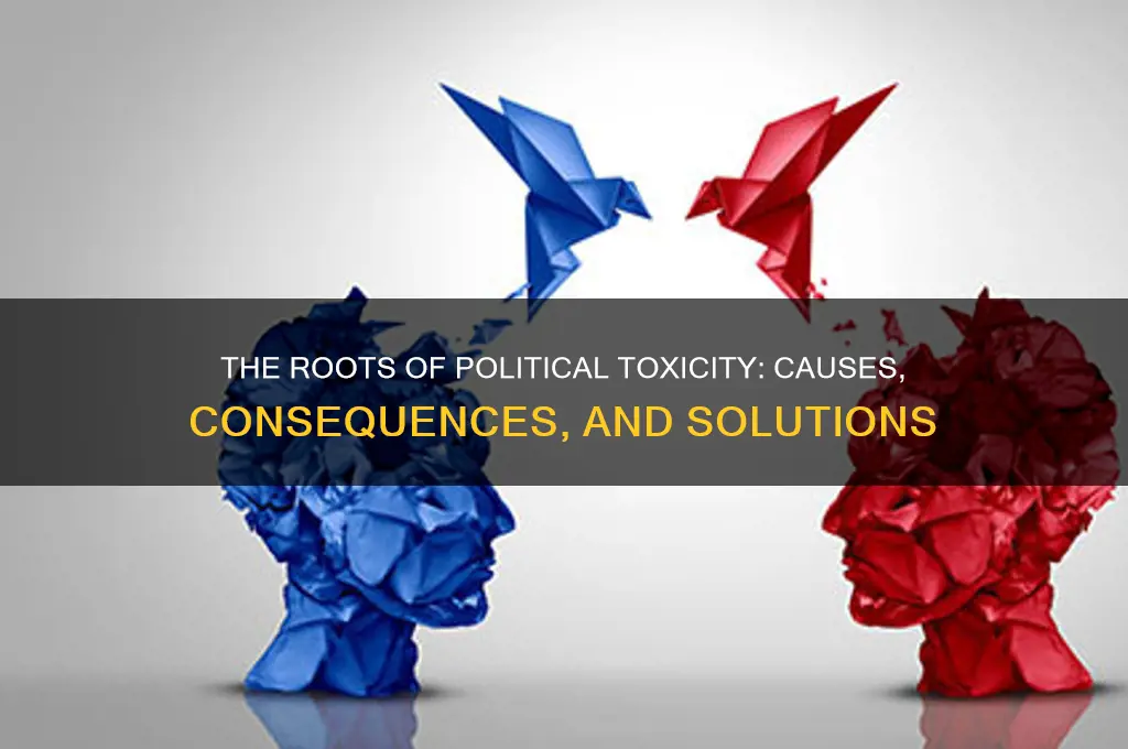 why is politics so toxic