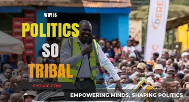 Why Politics Divides Us: Unraveling the Tribal Nature of Modern Politics