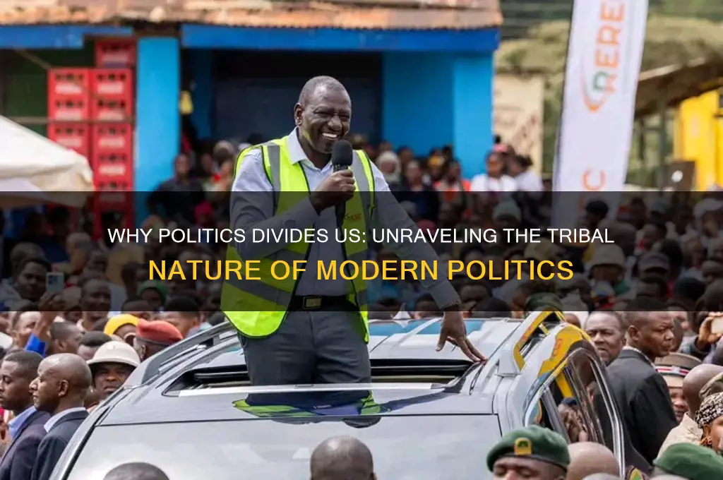 why is politics so tribal