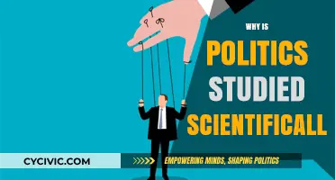 Understanding Power: The Scientific Study of Politics Explained