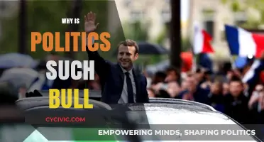 Why Politics Often Feels Like a Frustrating Mess: Unpacked