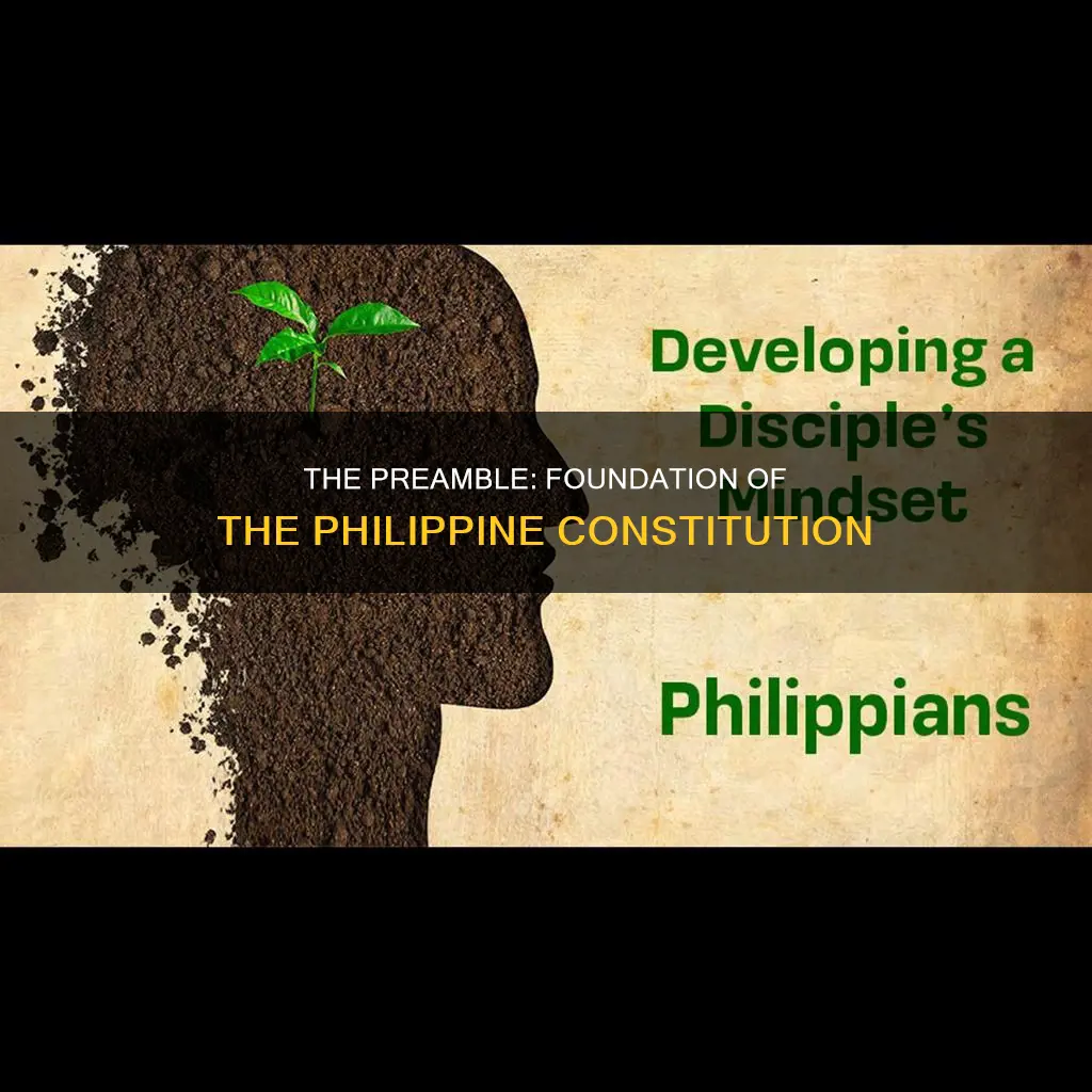 why is preamble important in the philippine constitution