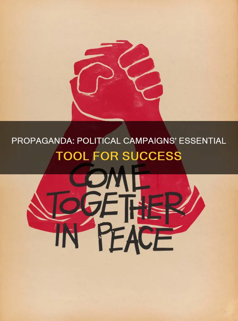 why is propaganda a necessity for political campaigns