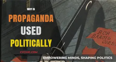 The Political Power of Propaganda: Shaping Public Opinion and Control