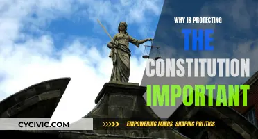 Protecting the Constitution: Our Rights and Freedoms Safeguarded